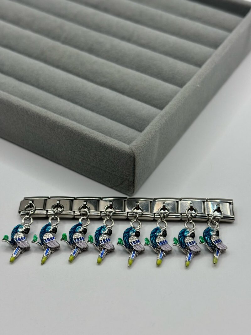 Çelik Nomi Charm