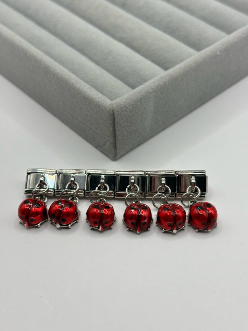 Çelik Charm