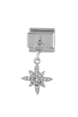 Çelik Charm