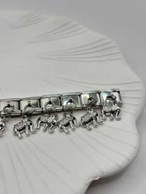 Çelik Charm