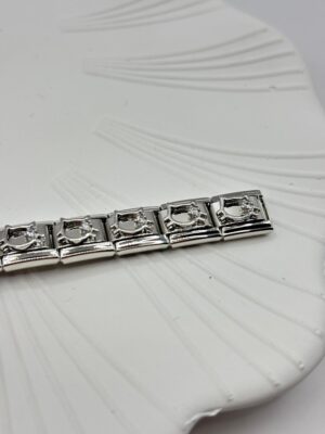 Çelik Charm