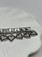 Çelik Charm