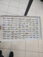 Zirkon Yüzük 100 Adet