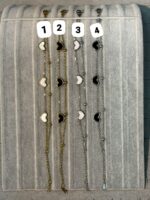 Çelik Kalp Bileklik