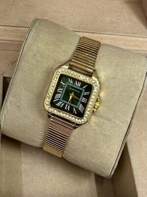 Çelik Kadın Kol Saati