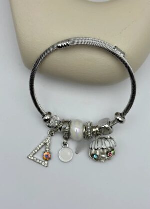 Cheini Toptan Takı Satışı 19 Çelik Silver Charm Bileklik